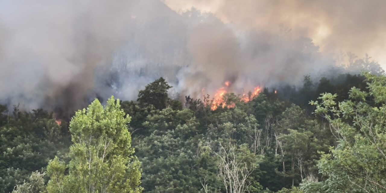 Incendio sulle colline tra Teramo e Canzano, intervento in corso