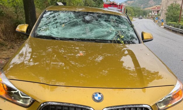 Maltempo nel Teramano, albero cade sulla statale 80