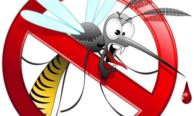 Interventi di derattizzazione e disinfestazione contro le zanzare a Giulianova. Le date di giugno