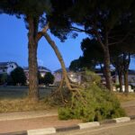 Teramo, ramo cade nella notte sulla passeggiata di Gammarana