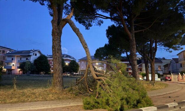 Teramo, ramo cade nella notte sulla passeggiata di Gammarana