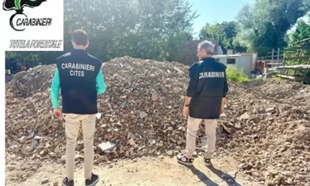 Controlli ambientali nel Pescarese: sequestri per rifiuti abusivi