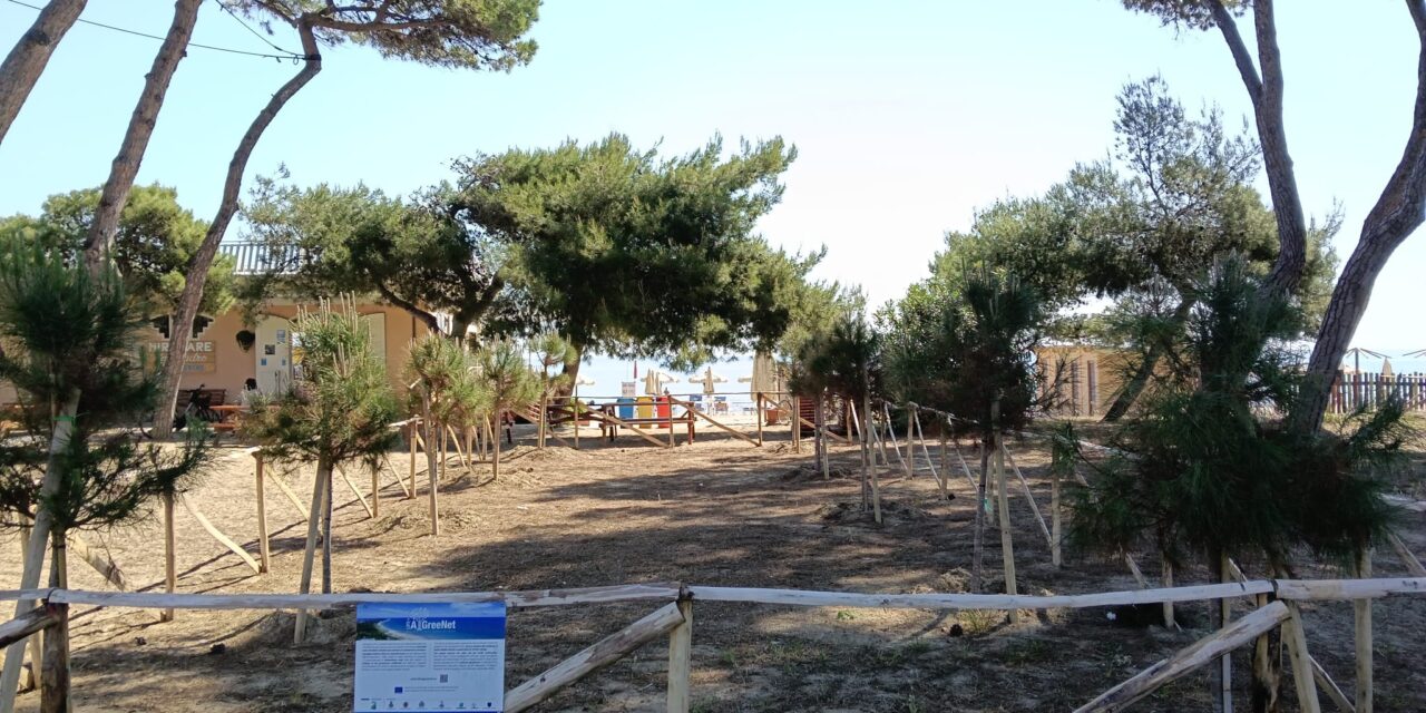 Pineto più verde: cento nuovi alberi contro il caldo