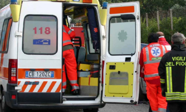 Vento forte sulla Statale 16, albero cade su un trattore