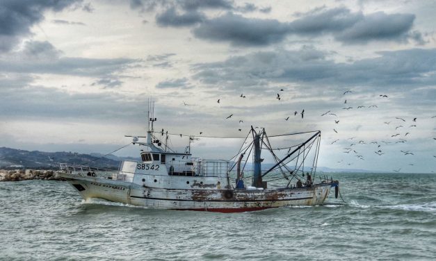 Mostra fotografica di Angelo Stama a Roseto degli Abruzzi
