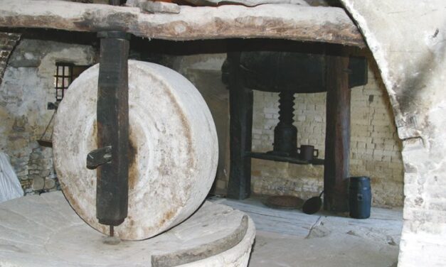 Sant’Omero, il frantoio storico diventa caso di rilancio rurale