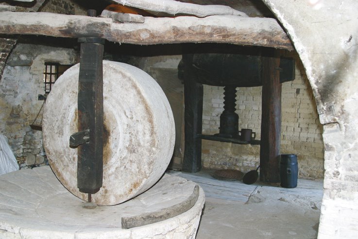 Sant’Omero, il frantoio storico diventa caso di rilancio rurale