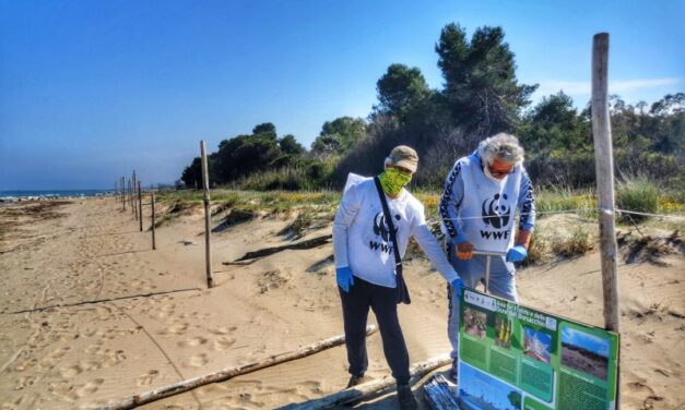 Borsacchio, via libera al piano per dune e specie protette