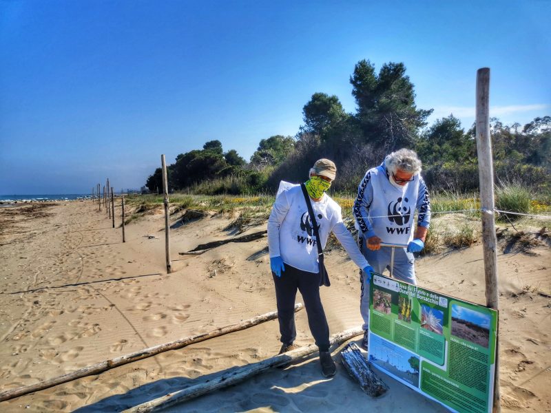 Borsacchio, via libera al piano per dune e specie protette