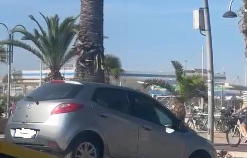 Sosta vietata sul lungomare: rimosse auto a Tortoreto