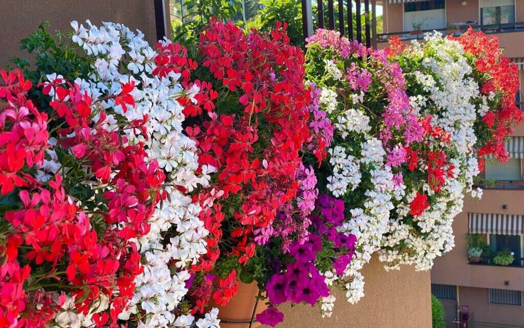 Cura del verde, Teramo guida l’Abruzzo per numero di imprese