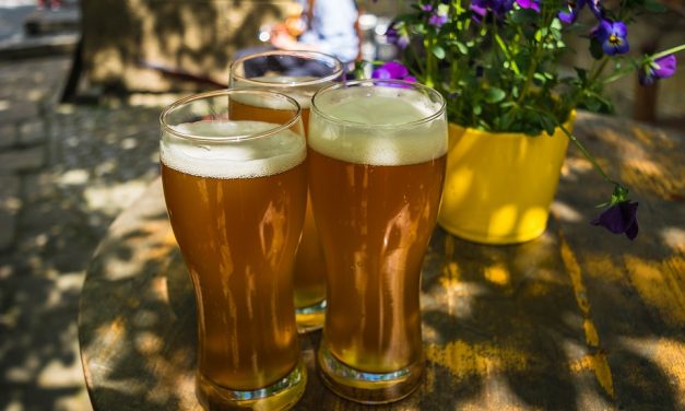 “Festival delle birre artigianali delle colline teramane”