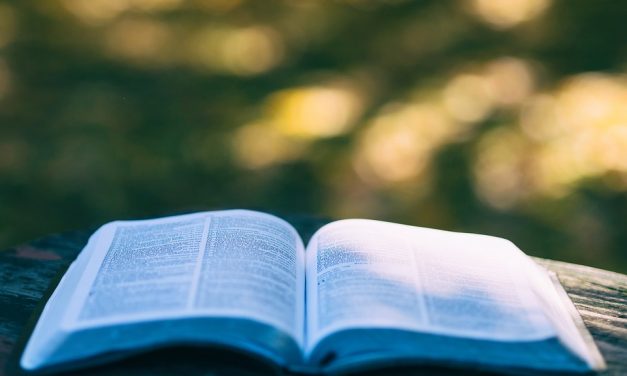 “Letture al tramonto”: presentazione libri a Giulianova