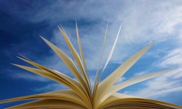 La terrazza di Palazzo Bindi è stata attrezzata per studiare e leggere all’aperto