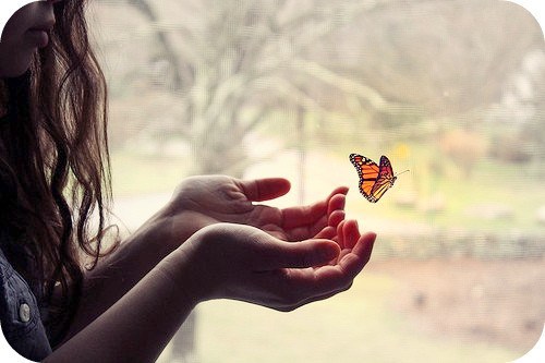 “Metamorfosi inverse”: presentazione del libro a Giulianova