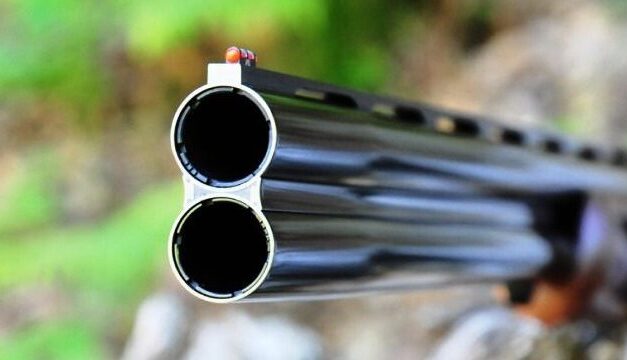 Settembre venatorio, il WWF sollecita uno stop anche in Abruzzo