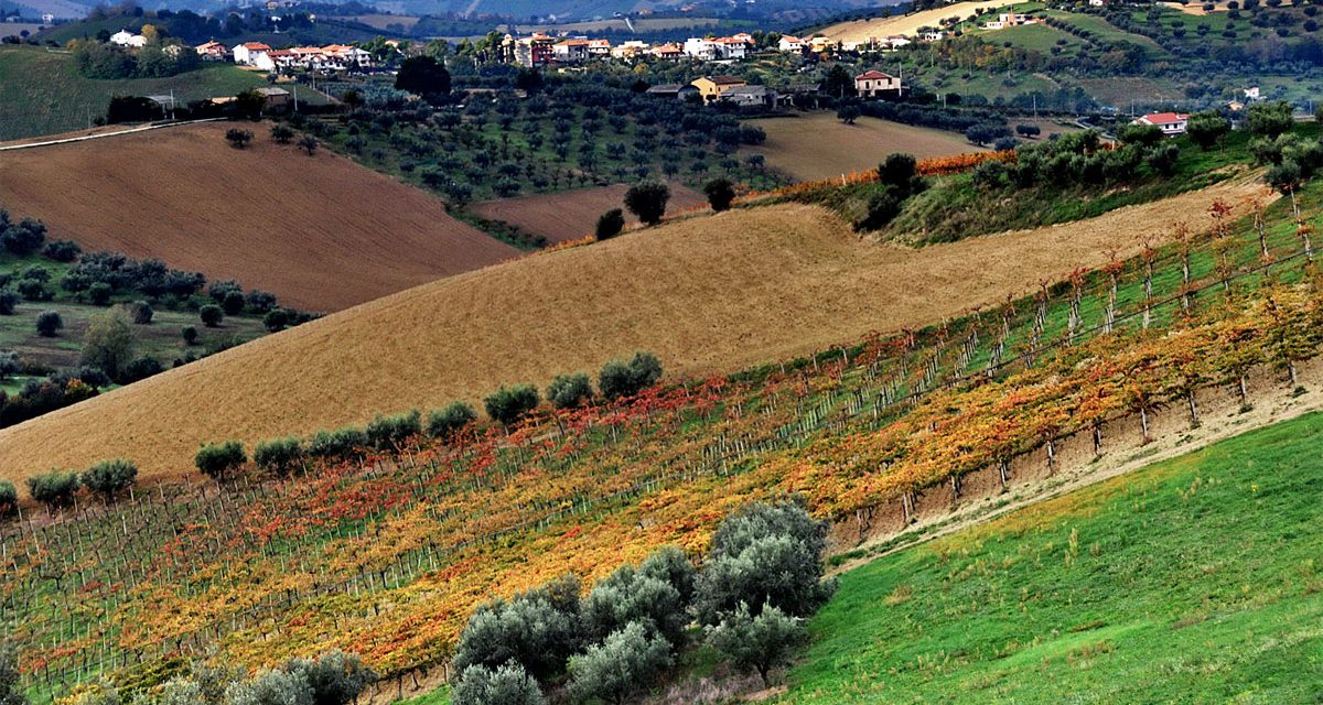 “1° Camminata dei due Comuni”: si parte da Giulianova