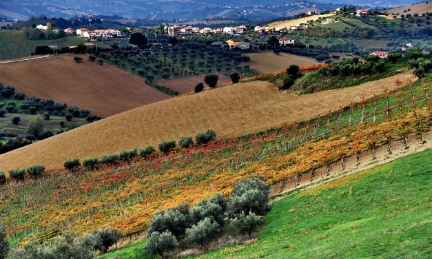 “1° Camminata dei due Comuni”: si parte da Giulianova