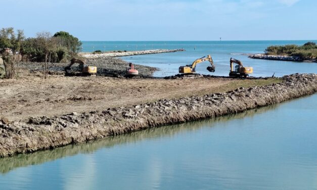Foce del Saline, ordine di recupero per l’area del canneto