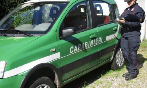 Rifiuti su un terreno a Moscufo: area sigillata dai forestali