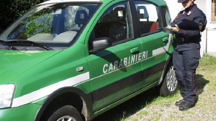 Rifiuti su un terreno a Moscufo: area sigillata dai forestali