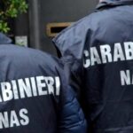 Controlli NAS in Abruzzo, stop a impianto di pet food