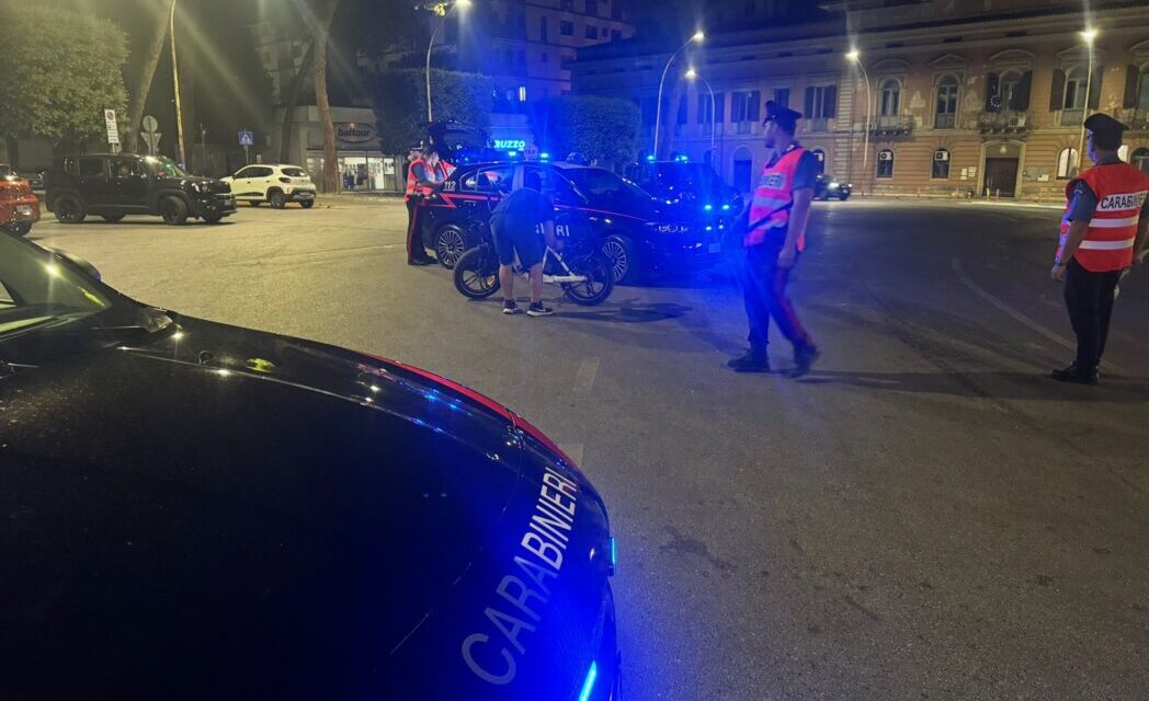 Controlli nel Teramano: arresti, denunce e un salvataggio