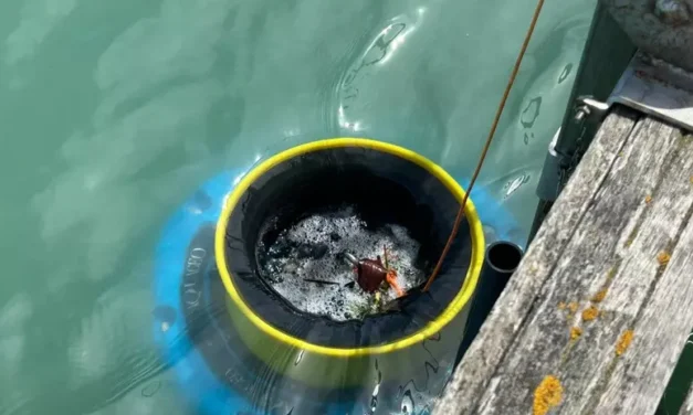 Al porto di Pescara entra in funzione un sistema anti-plastica