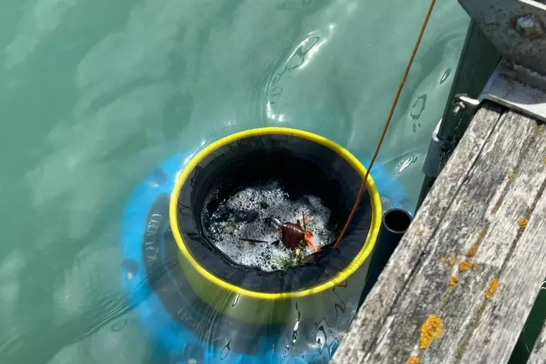 Al porto di Pescara entra in funzione un sistema anti-plastica