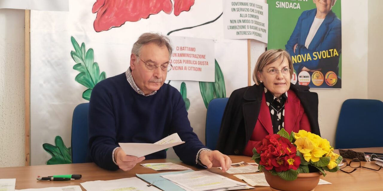 Verde pubblico a Giulianova, polemica sui lecci di via Sauro