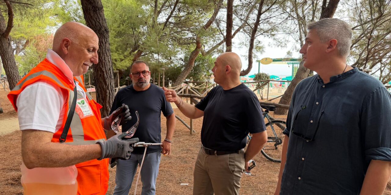 Pinete della costa teramana sotto attacco, Pineto sollecita la Regione