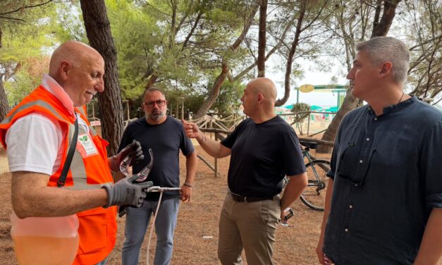 Pinete della costa teramana sotto attacco, Pineto sollecita la Regione