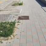 Cologna Spiaggia, manutenzione carente sul fronte mare