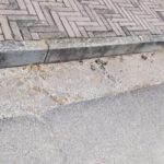 Tortoreto, segnalazioni dai residenti per i gatti in piazza Lipari