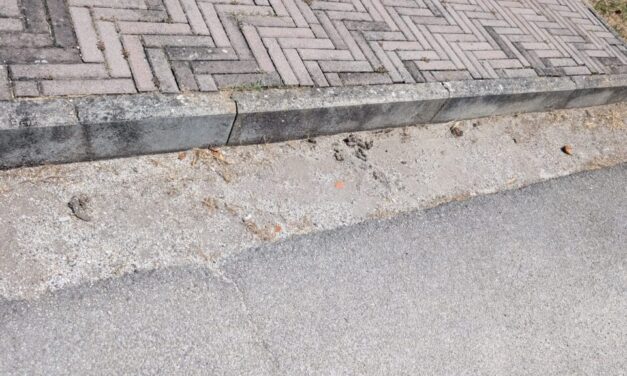 Tortoreto, segnalazioni dai residenti per i gatti in piazza Lipari