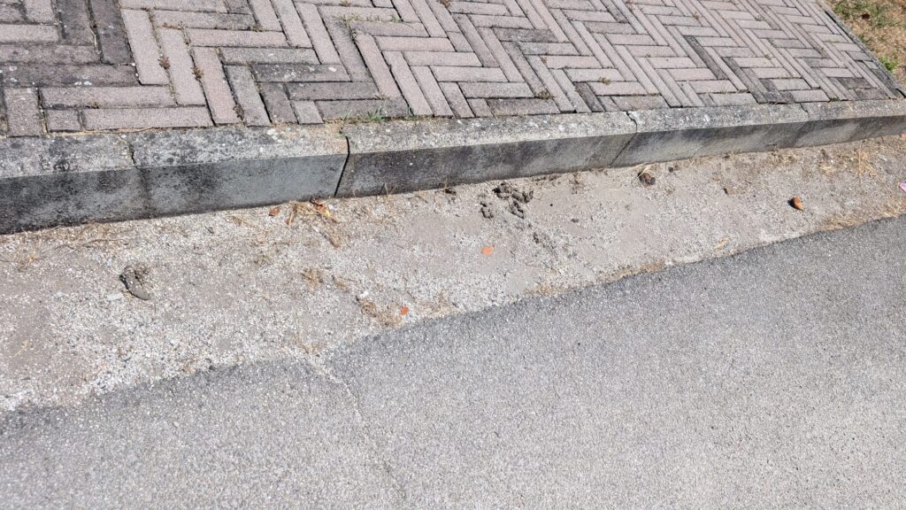 Tortoreto, segnalazioni dai residenti per i gatti in piazza Lipari