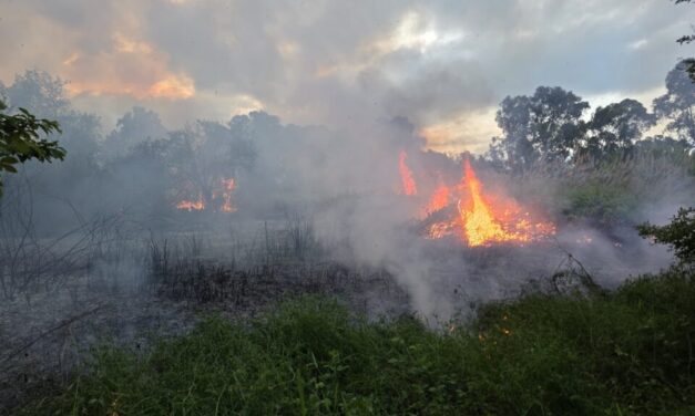 Incendio spento a Marina di Città Sant’Angelo, resta la vigilanza