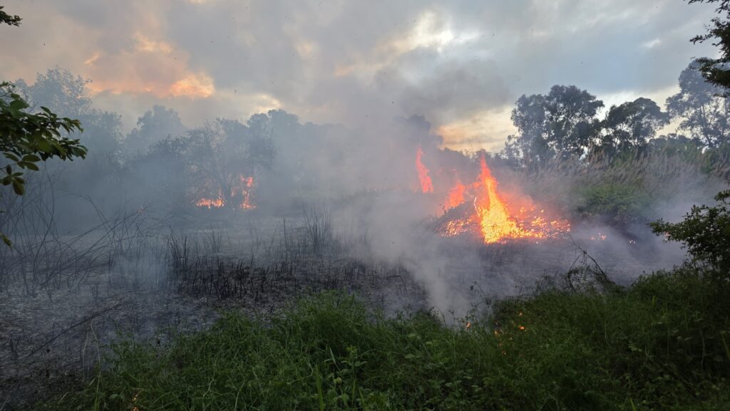 Incendio spento a Marina di Città Sant’Angelo, resta la vigilanza