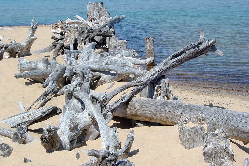 Pulizia dei rifiuti legnosi dalle spiagge di Giulianova