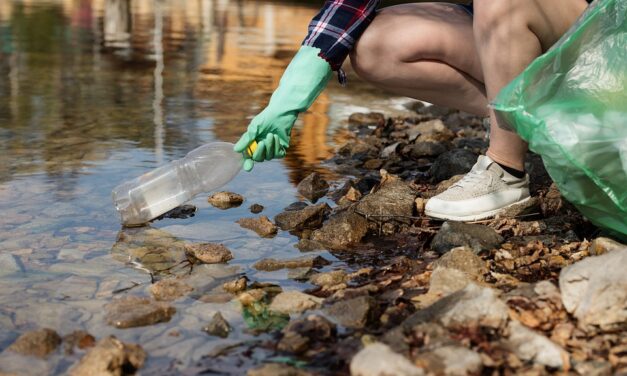Ottava Giornata ecologica a Giulianova