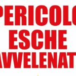 Alba Adriatica, allarme esche sospette vicino al bocciodromo