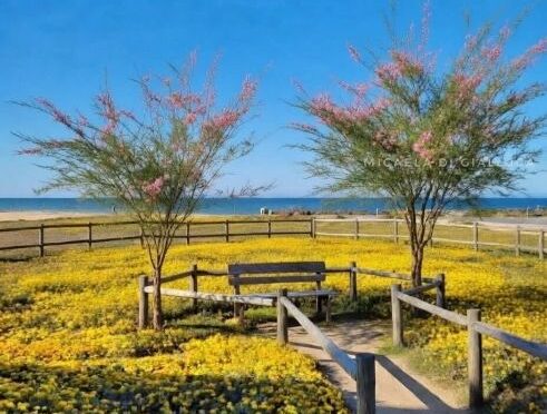 Roseto, proposta per un’area naturale sull’arenile dell’ex Mion