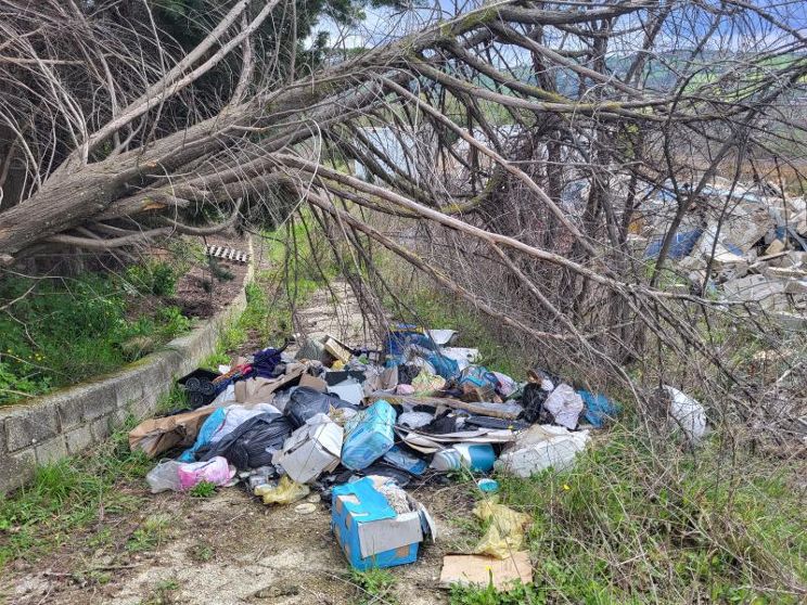 Roseto, via alla bonifica dell’ex Piccionaia: attesa per il rilancio dell’area