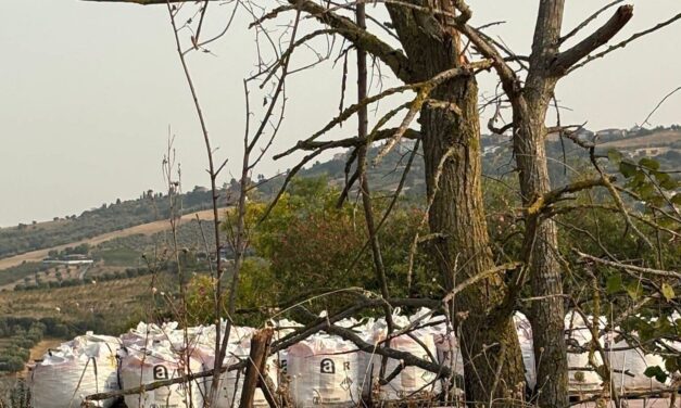 Roseto, opposizioni chiedono verifiche sull’area ex piccionaia