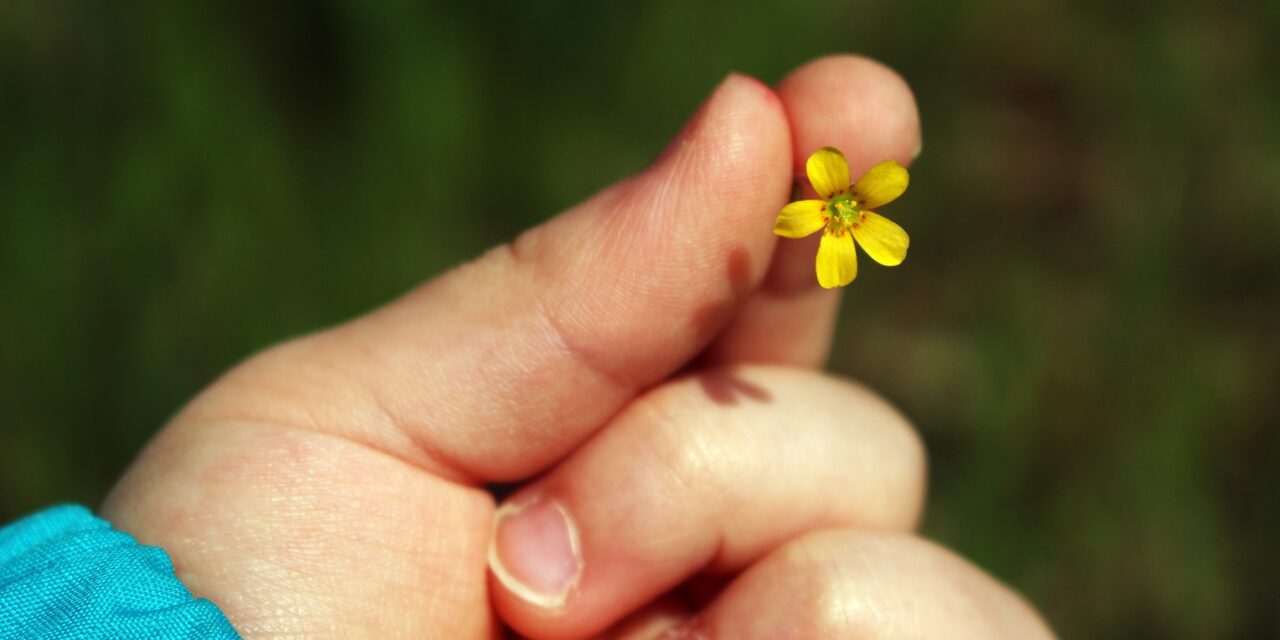 I weekend della gentilezza: percorsi ludici ed educativi per i bambini