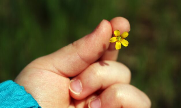 I weekend della gentilezza: percorsi ludici ed educativi per i bambini