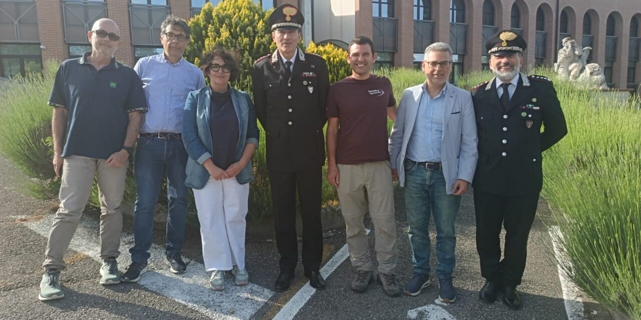 Bocconi avvelenati, confronto tra associazioni e Forestali