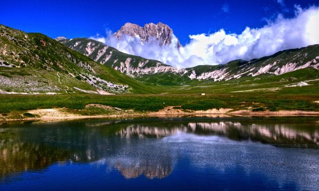 Turismo naturalistico