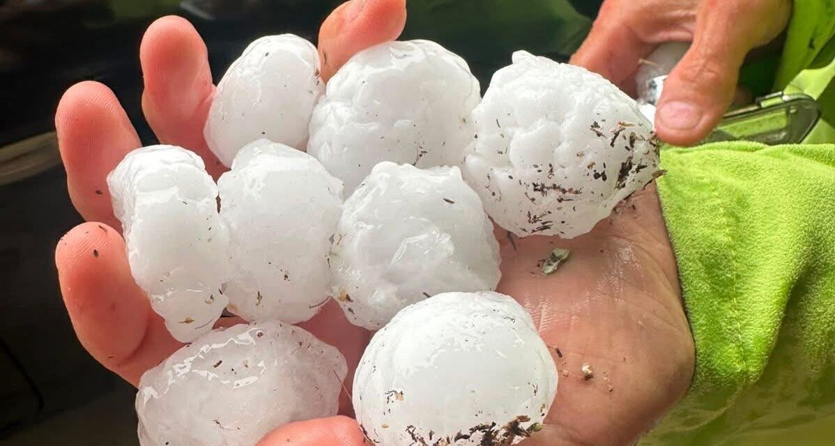 Pineto, nuovo termine per segnalare i danni del maltempo