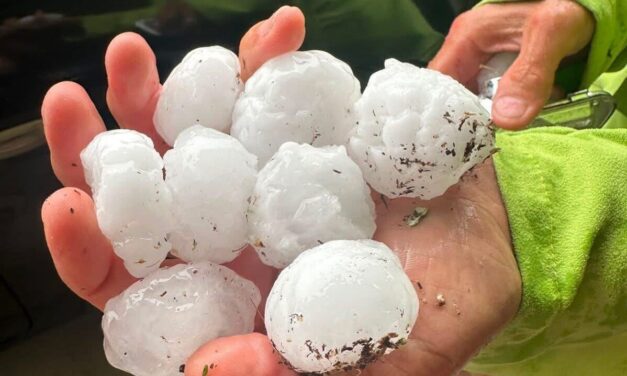 Pineto, nuovo termine per segnalare i danni del maltempo